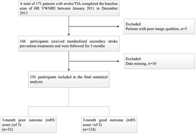 Extracranial Carotid Plaque Hemorrhage Is Independently Associated With Poor 3-month Functional Outcome After Acute Ischemic Stroke—A Prospective Cohort Study